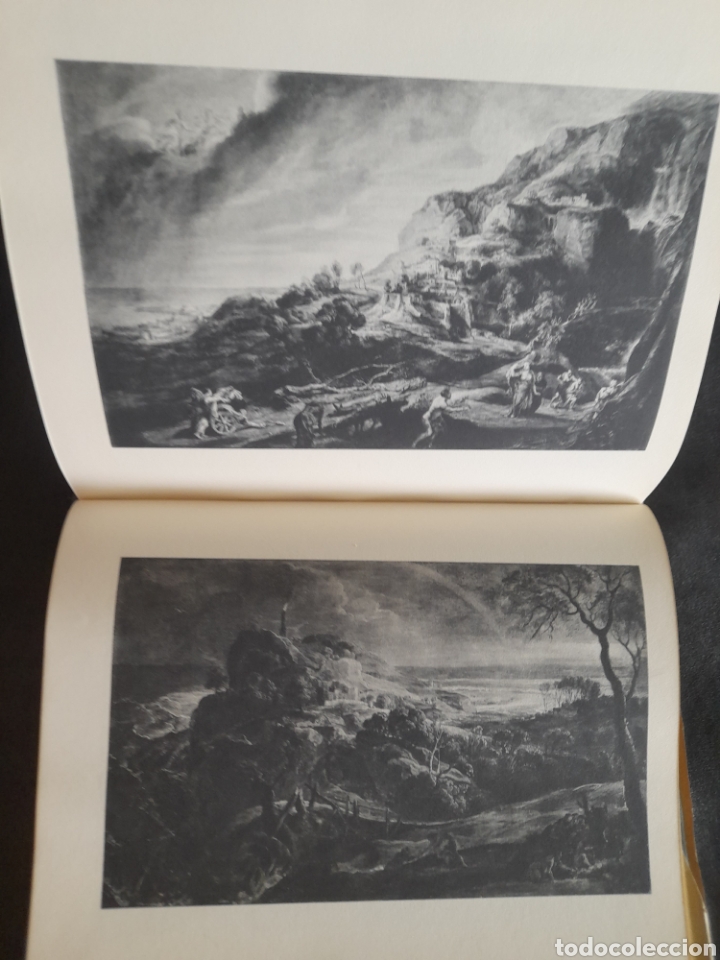Libros de segunda mano: Rubens. Giovanni Stepanov - Foto 4