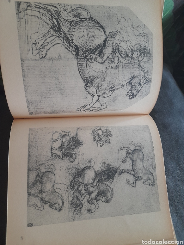 Libros de segunda mano: Leonardo. Giorgio Nicodemi - Foto 4