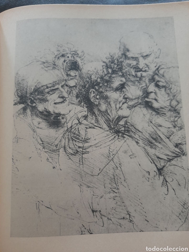 Libros de segunda mano: Leonardo. Giorgio Nicodemi - Foto 5