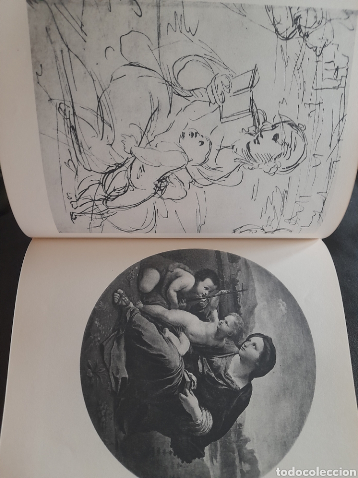 Libros de segunda mano: Rafael. Giovanni Stepanov - Foto 3