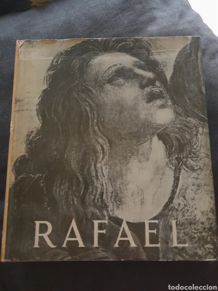 Libros de segunda mano: Rafael. Giovanni Stepanov - Foto 1