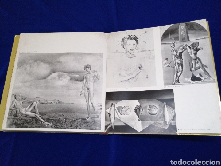 Libros de segunda mano: DALI DE DRAEGER - LIBRO- (LEER DESCRIPCION) - Foto 9