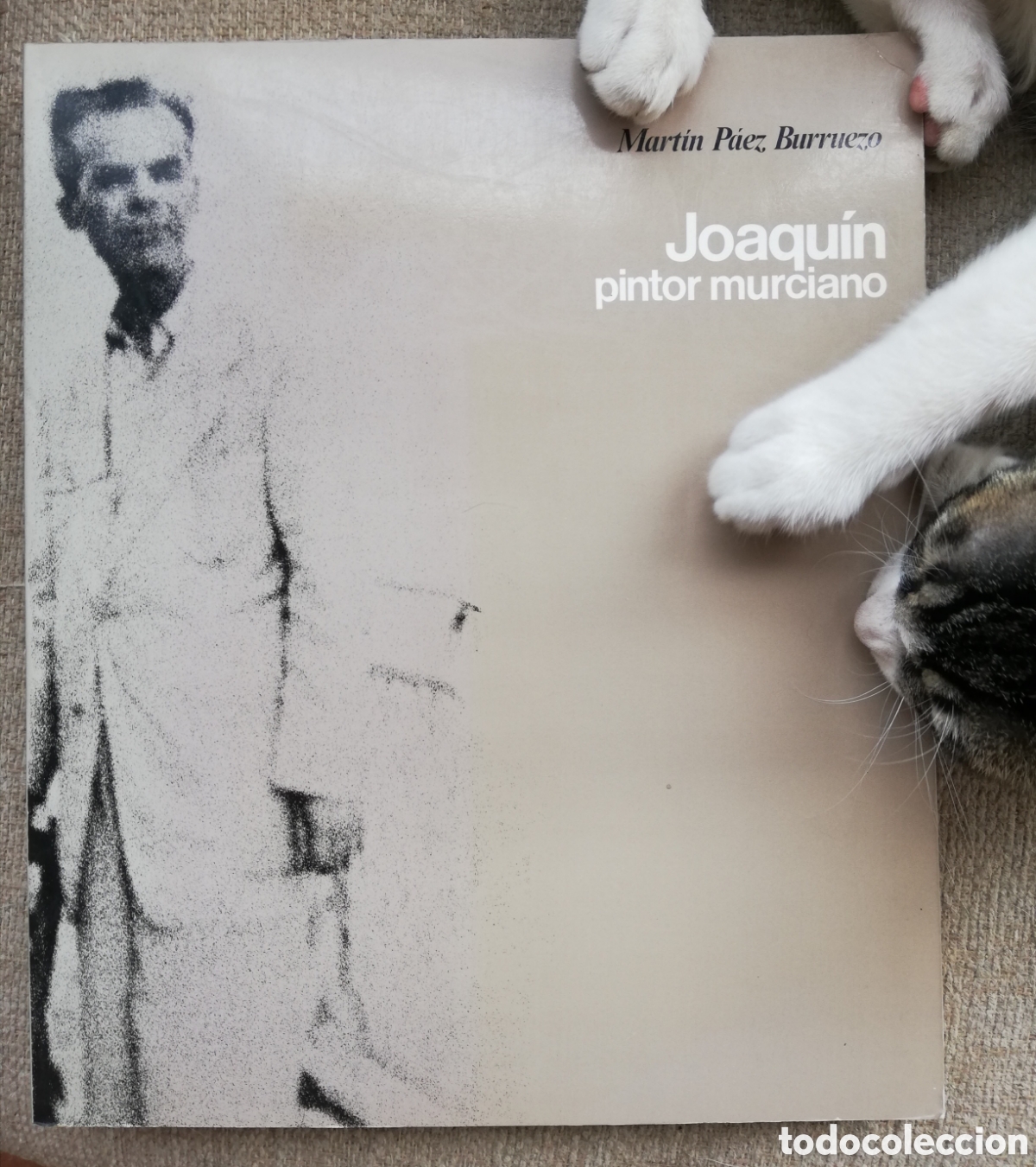 Libros de segunda mano: Joaqu&iacute;n pintor murciano, de Mart&iacute;n P&aacute;ez Burruezo