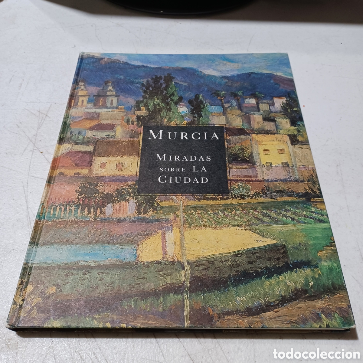 Murcia Miradas sobre la ciudad