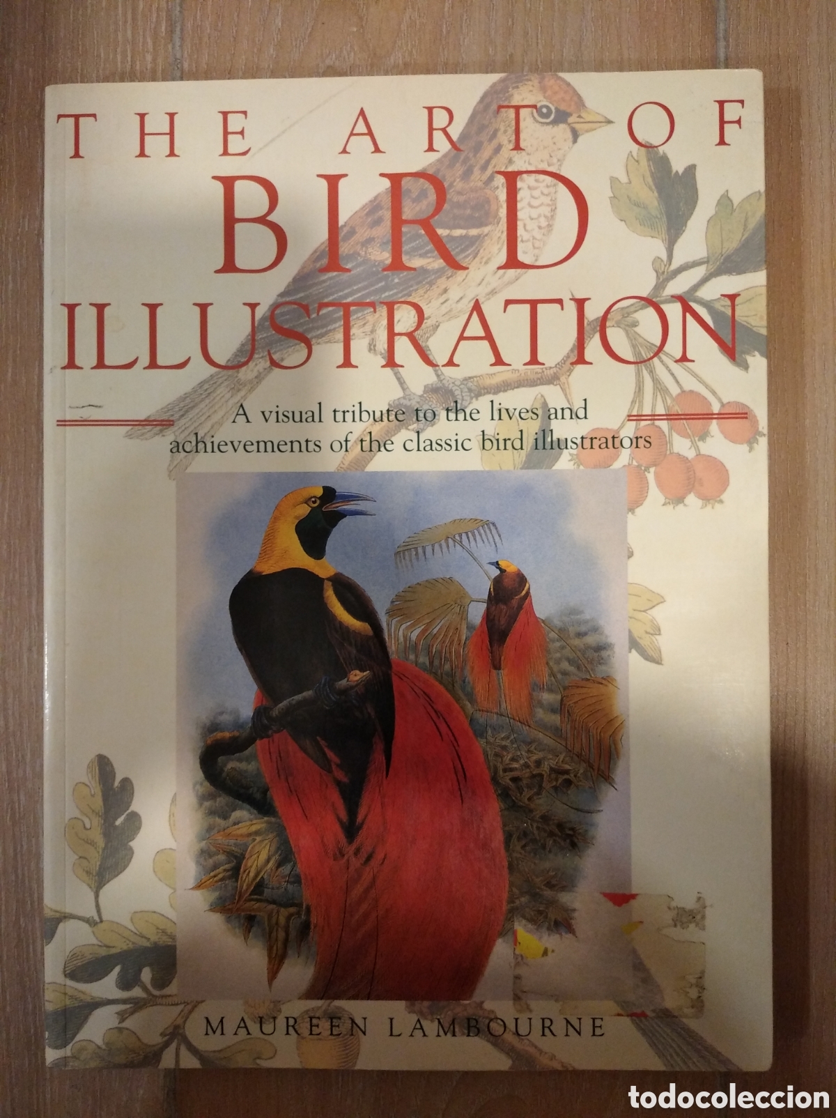 the art of bird illustration (edición en inglés - Buy Used books about  paintings on todocoleccion