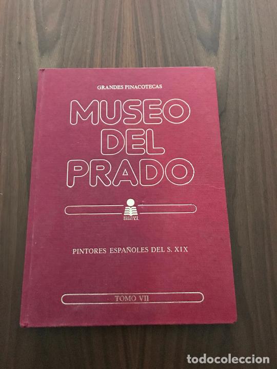 Libros de segunda mano: GRANDES PINACOTECAS , MUSEO DEL PADRO , PINTORES ESPA&Ntilde;OLES DEL SIGLO XIX , TOMO VII