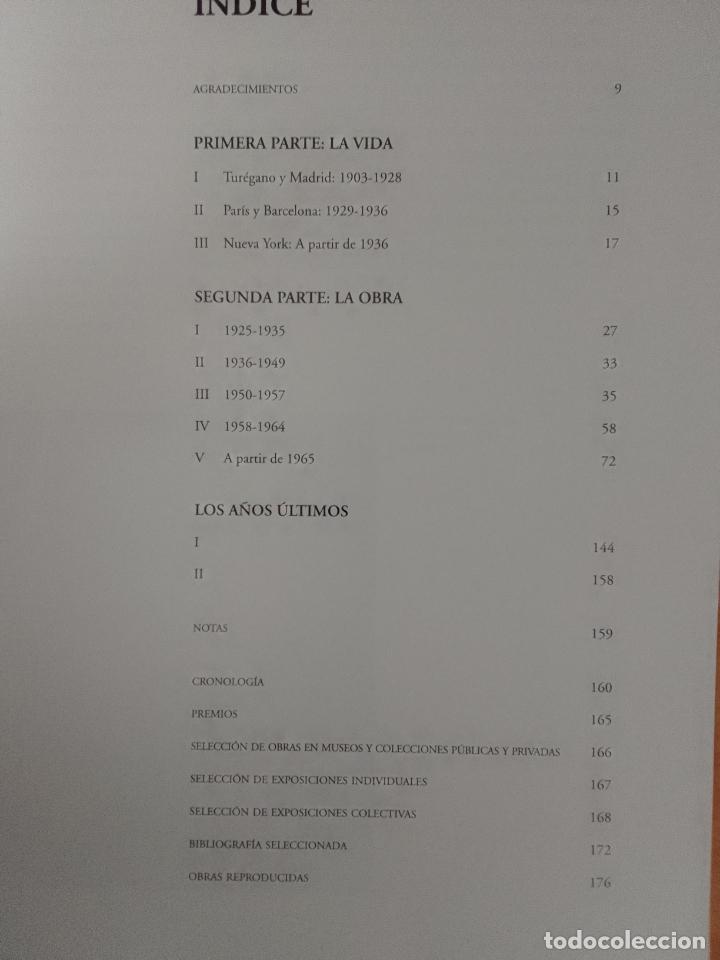 Libros de segunda mano: Elizabeth Frank: Esteban Vicente - Foto 3