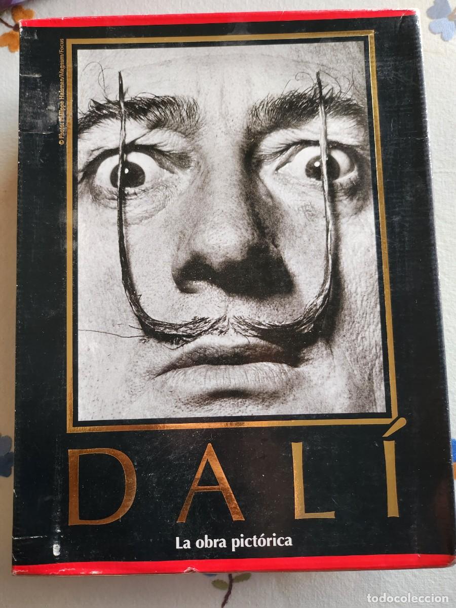 Libros de segunda mano: DALI LA OBRA PICT&Oacute;RICA