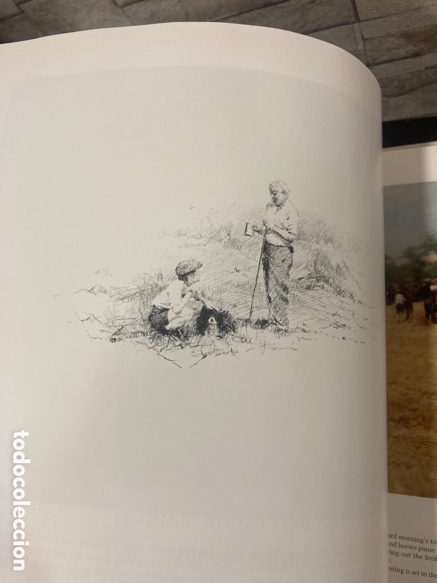Libros de segunda mano: Magnifico libro David sherpherd - Foto 7