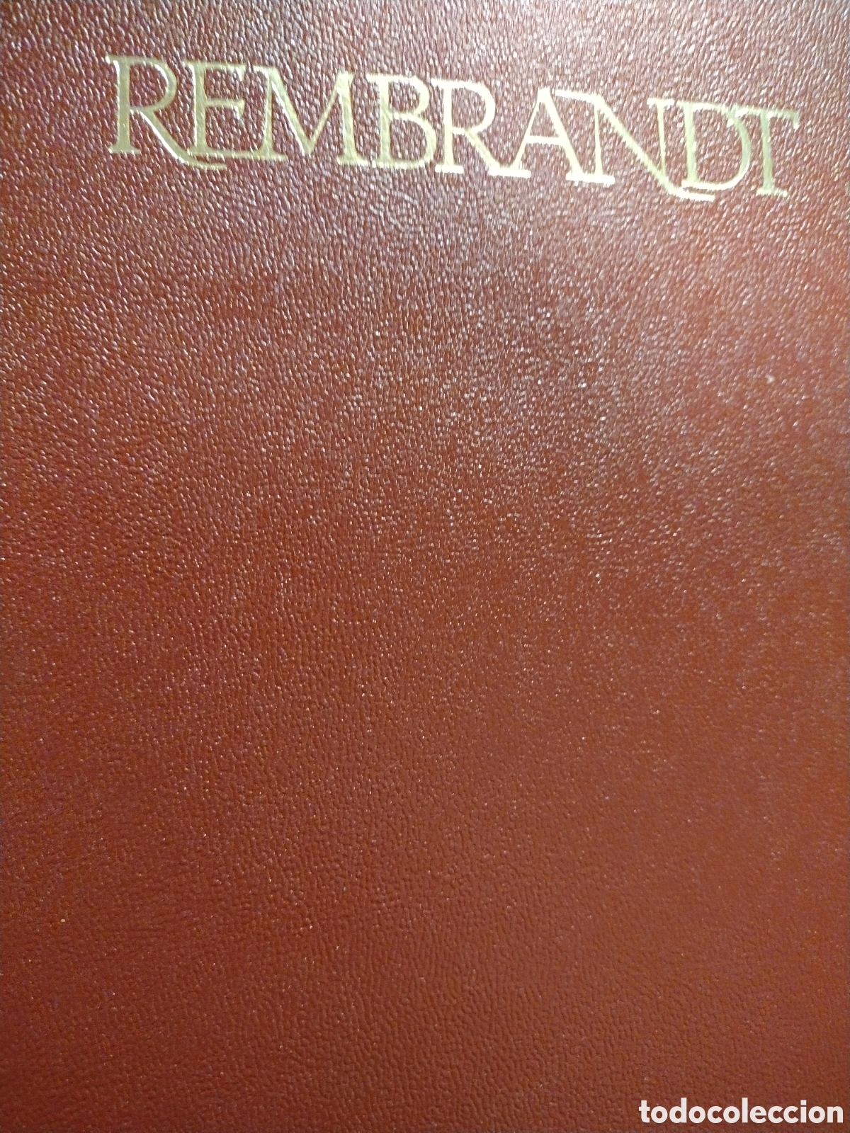 Libros de segunda mano: Rembrandt, Joseph-Emile Muller - Foto 1