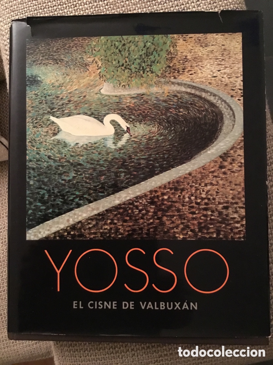 Libros de segunda mano: Jos&eacute; Porto YOSSO. El cisne de Valbux&aacute;n. Pintor y Poeta. Obra cultural de Caixa Ourense. 1989