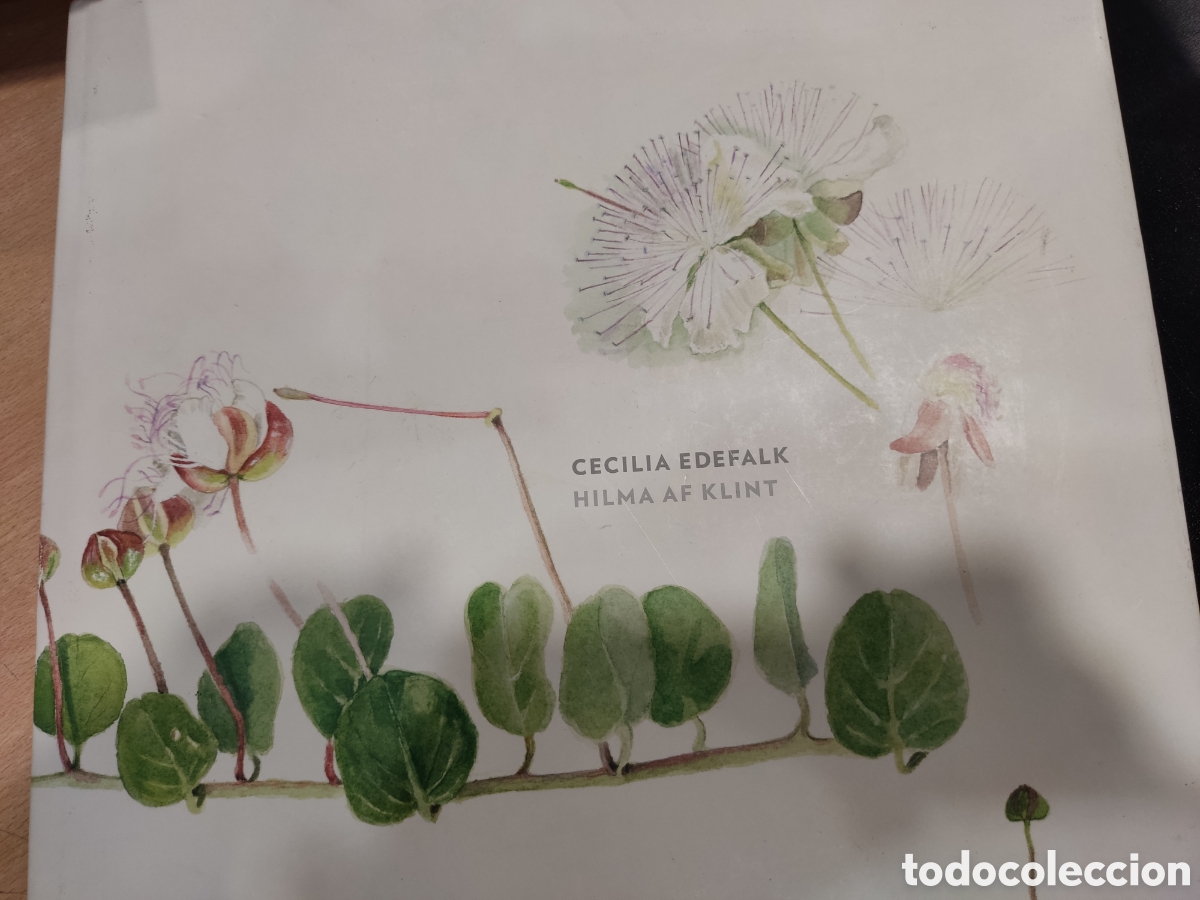 Libros de segunda mano: Cecilia Edefalk. Hilma af Klint - Foto 1