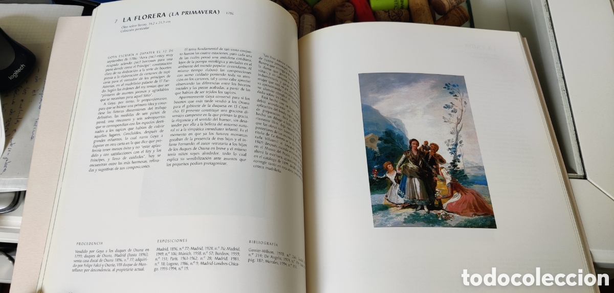 Libros de segunda mano: Libro Goya en las colecciones espa&ntilde;olas - Foto 5