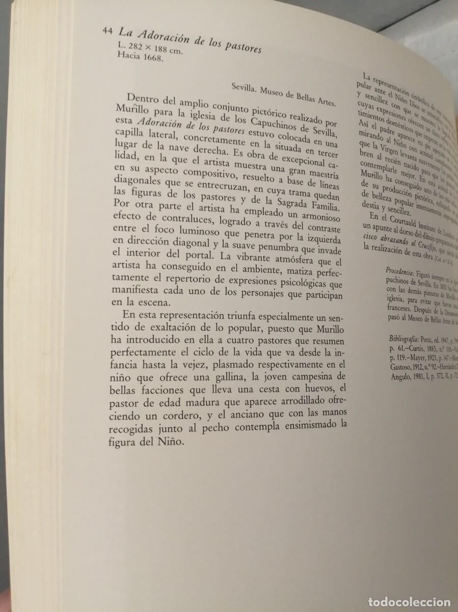 Libros de segunda mano: BARTOLOM&Eacute; MURILLO 1617-1682 - Foto 8