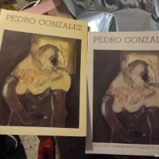 Libros de segunda mano: LIBRO PINTURA CATÁLOGO PEDRO GONZALEZ. DÍA DE CANARIAS EXPOSICIÓN CONMEMORATIVA 1985 MÁS DOSIER