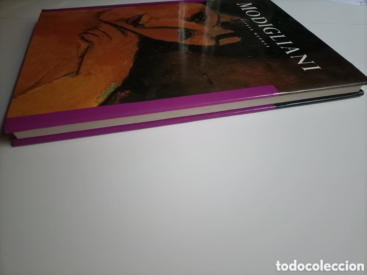 Libros de segunda mano: Modigliani Alfred Werner .. texto en ingl&eacute;s - Foto 5