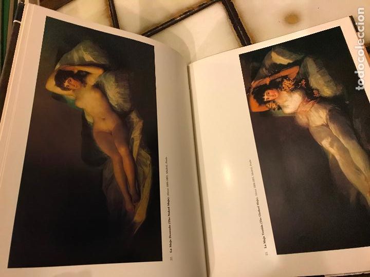 Libros de segunda mano: Goya in Full Colour. Phaidon. EN INGL&Eacute;S - Foto 5