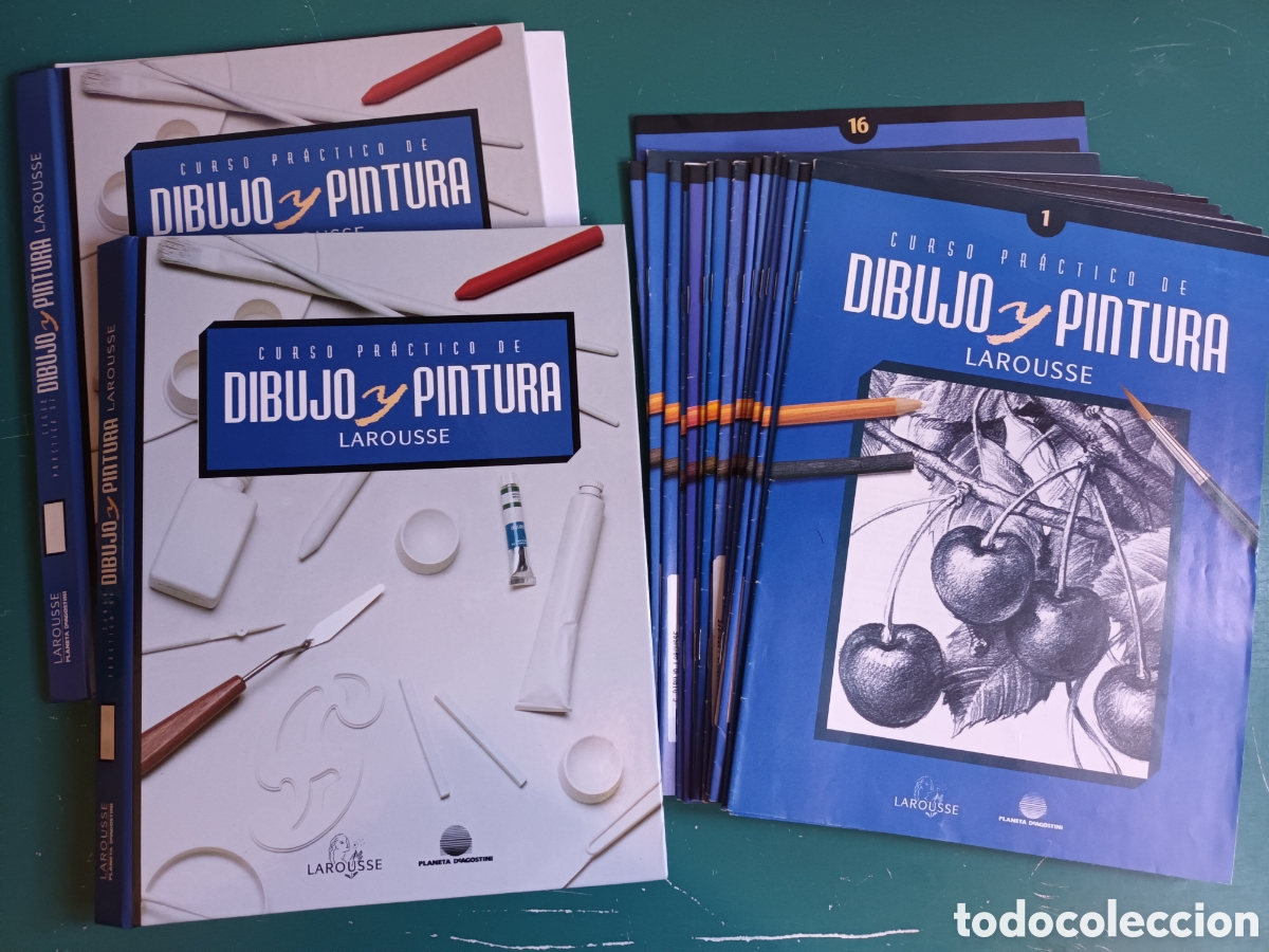 Libros de segunda mano: Dibujo y Pintura Larousse. 16 fasc&iacute;culos + 2 tapas de encuadernaci&oacute;n + Ficha Prueba de compra 1995