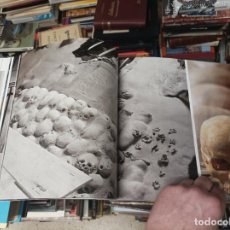 Libros de segunda mano: MIQUEL BARCELÓ . LA CATEDRAL BAJO EL MAR . FOTOGRAFÍAS AGUSTÍ TORRRES . MALLORCA .PINTURA ,ESCULTURA