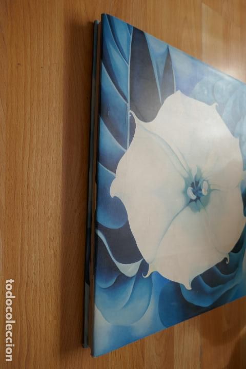 Libros de segunda mano: One hundred flowers - Georgia OKeeffe - Foto 4