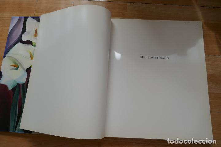 Libros de segunda mano: One hundred flowers - Georgia OKeeffe - Foto 13