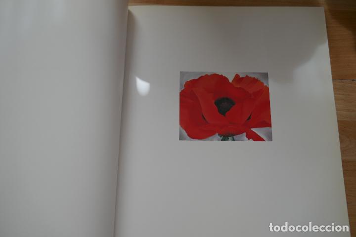 Libros de segunda mano: One hundred flowers - Georgia OKeeffe - Foto 15