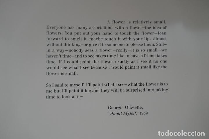 Libros de segunda mano: One hundred flowers - Georgia OKeeffe - Foto 16