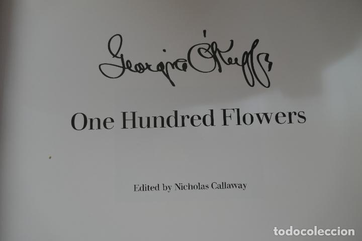 Libros de segunda mano: One hundred flowers - Georgia OKeeffe - Foto 18