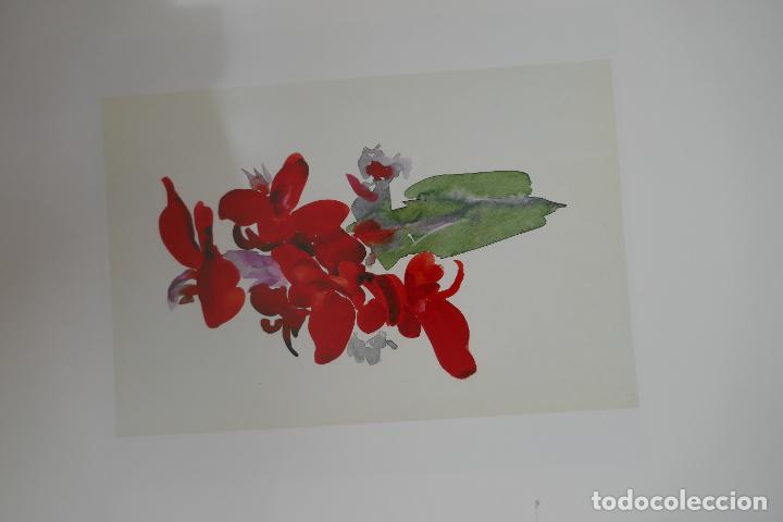 Libros de segunda mano: One hundred flowers - Georgia OKeeffe - Foto 23