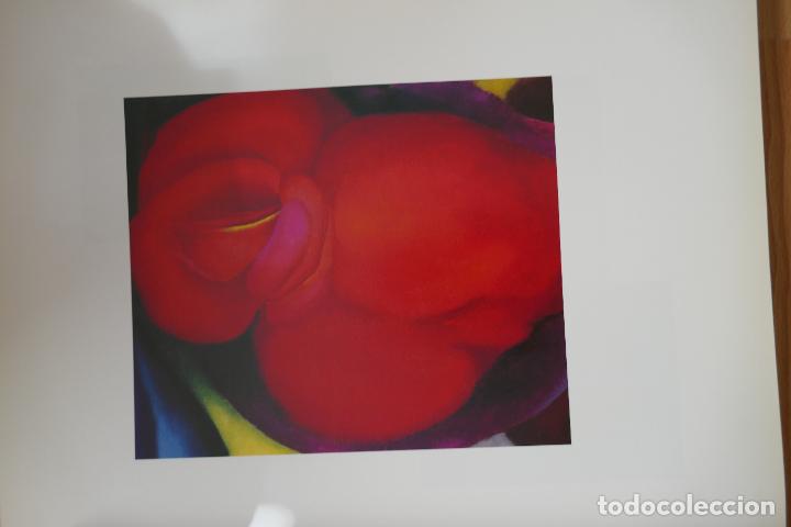 Libros de segunda mano: One hundred flowers - Georgia OKeeffe - Foto 24