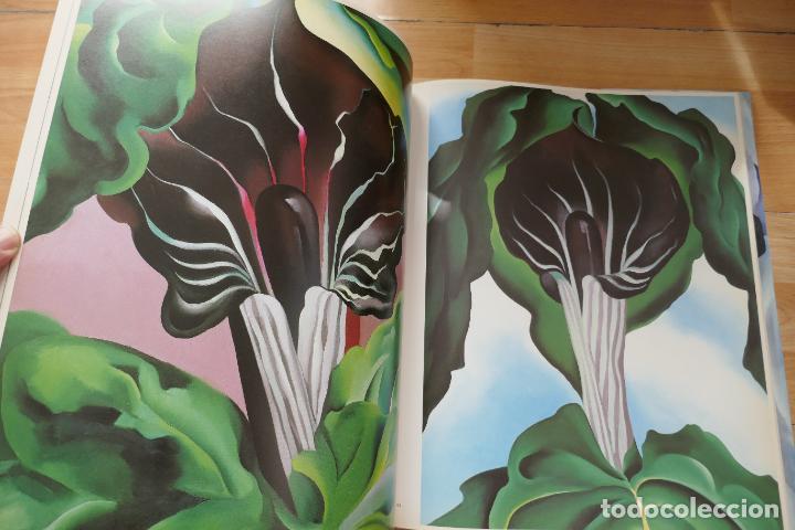 Libros de segunda mano: One hundred flowers - Georgia OKeeffe - Foto 25