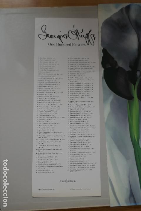 Libros de segunda mano: One hundred flowers - Georgia OKeeffe - Foto 26