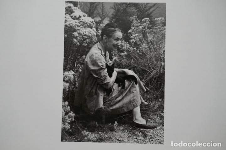 Libros de segunda mano: One hundred flowers - Georgia OKeeffe - Foto 30