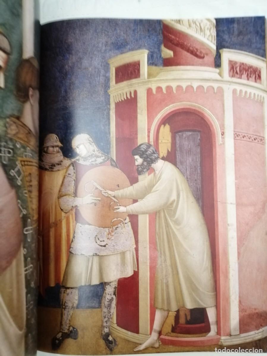 Libros de segunda mano: GIOTTO. Pintor de San Francisco - Foto 4
