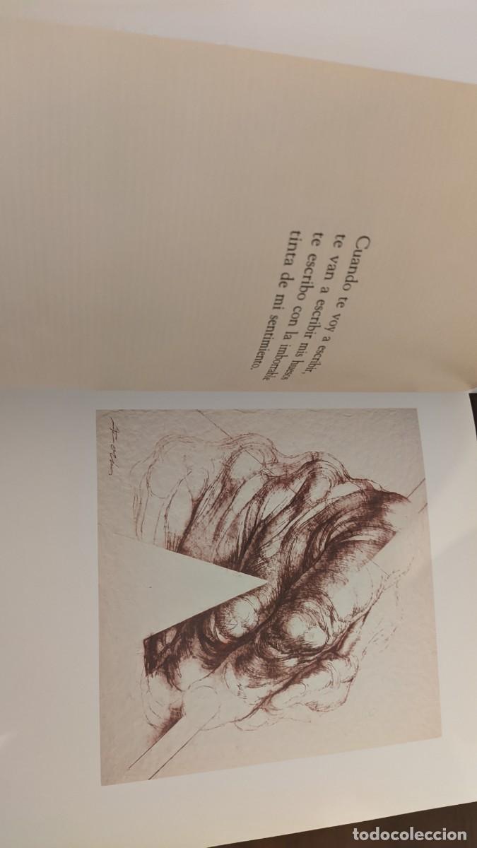 Libros de segunda mano: MIGUEL HERN&Aacute;NDEZ 50 X 50 - Foto 6