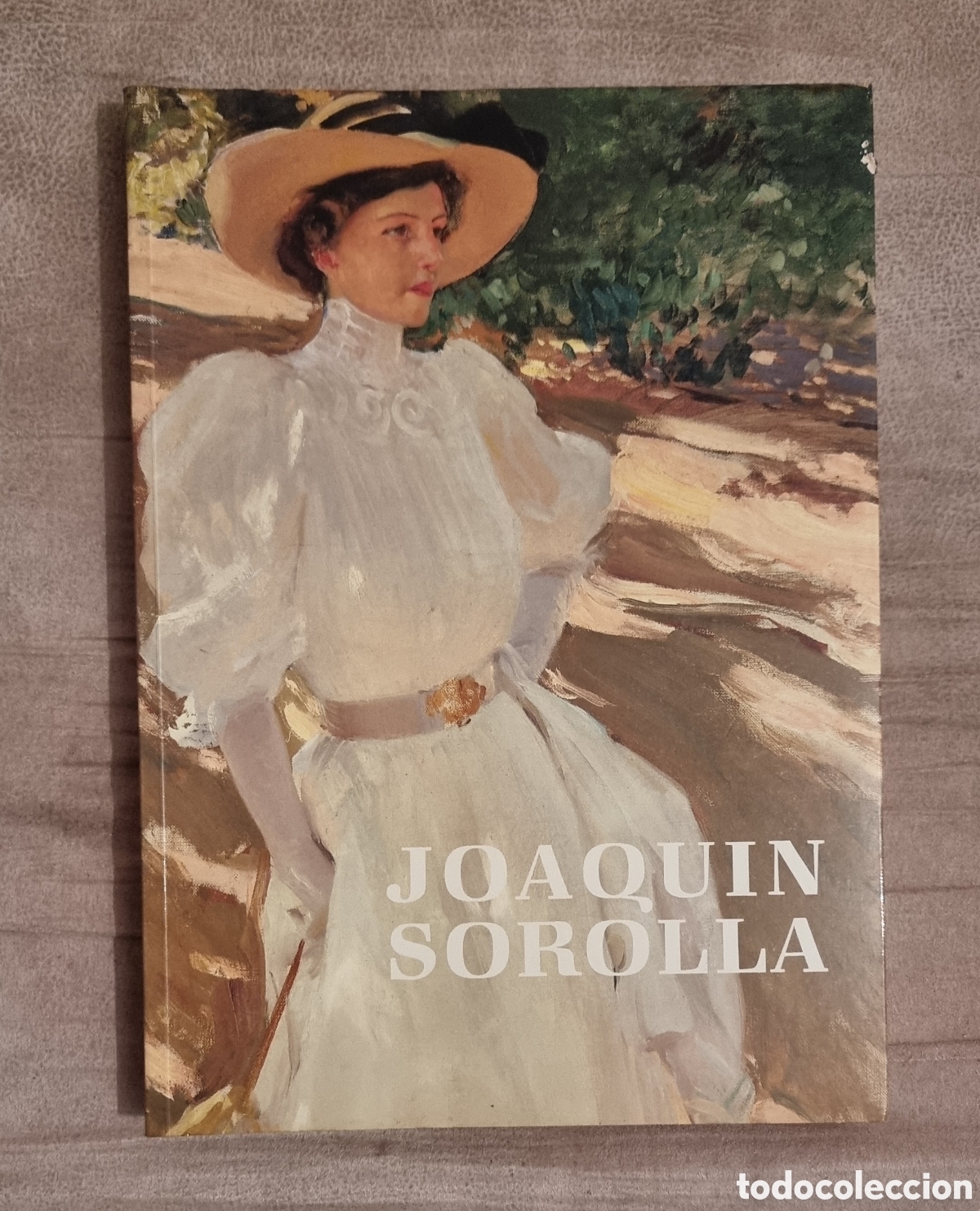 Libros de segunda mano: JOAQU&Iacute;N SOROLLA - Foto 1