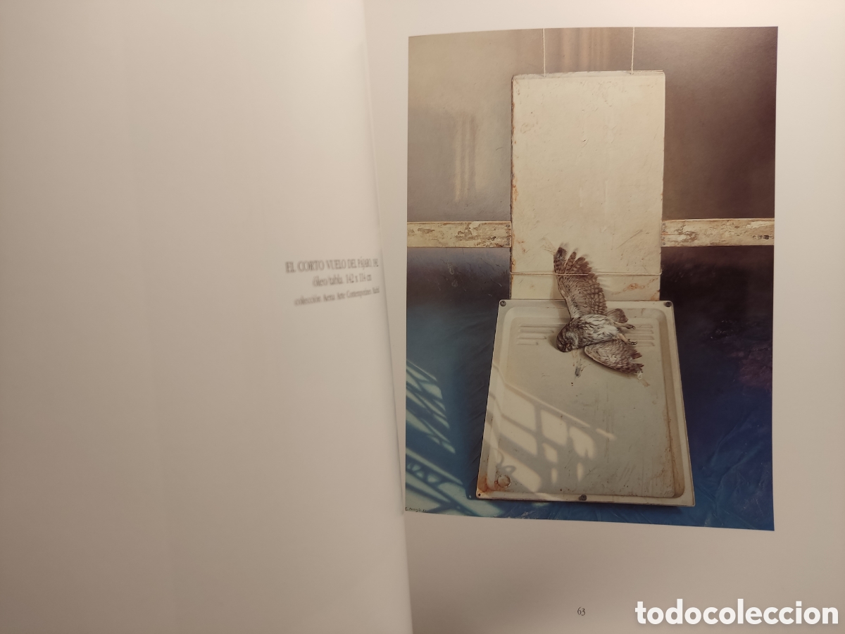 Libros de segunda mano: Eduardo Naranjo 1958-2000/ Caixanova, 2000 - Foto 5