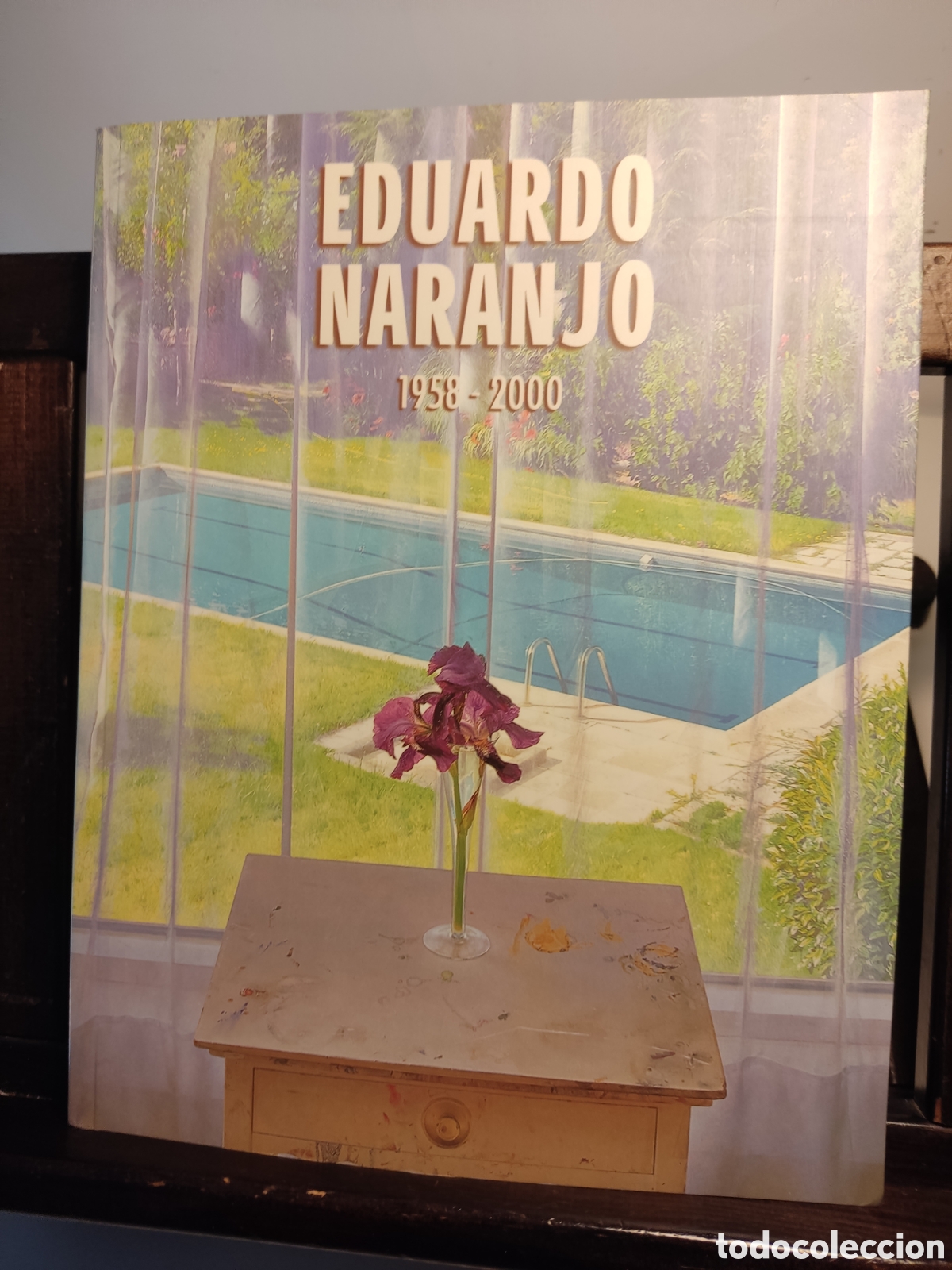 Libros de segunda mano: Eduardo Naranjo 1958-2000/ Caixanova, 2000 - Foto 1