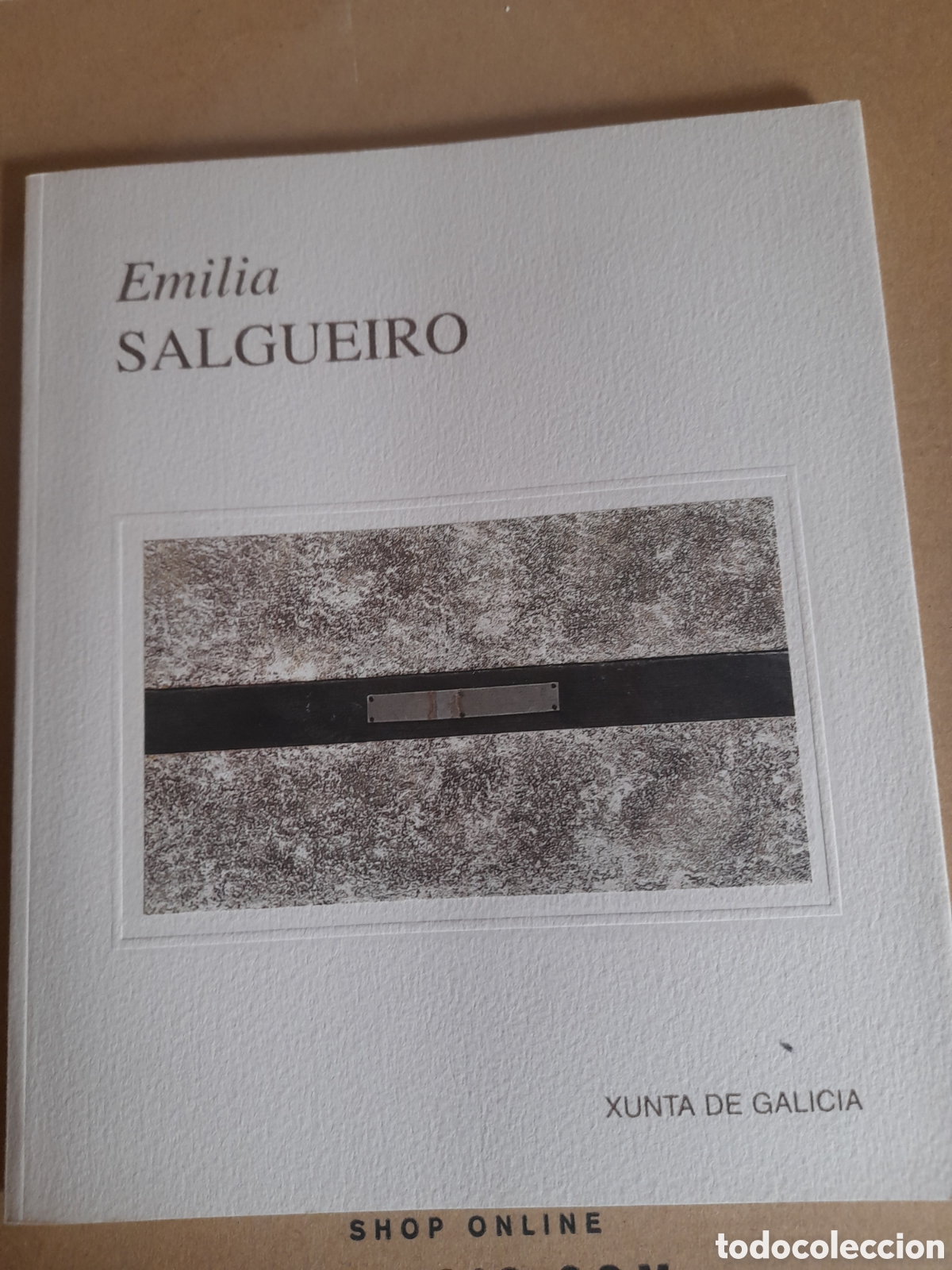 Libros de segunda mano: Emilia Salgueiro, pintora de Galicia