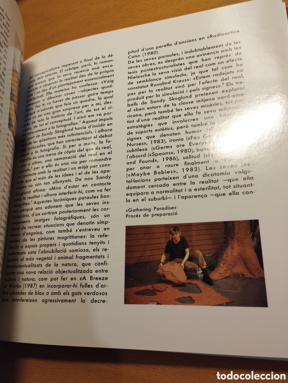 Libros de segunda mano: SANDY SKOGLUND (FUNDACI&Oacute; LA CAIXA) 1992 - Foto 8