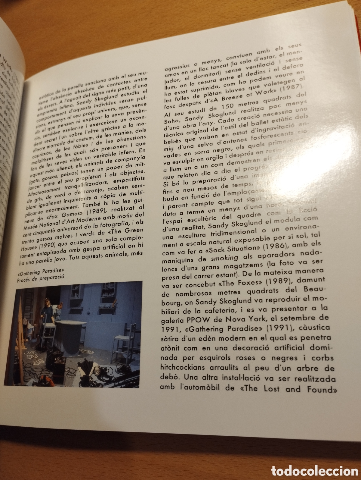 Libros de segunda mano: SANDY SKOGLUND (FUNDACI&Oacute; LA CAIXA) 1992 - Foto 11