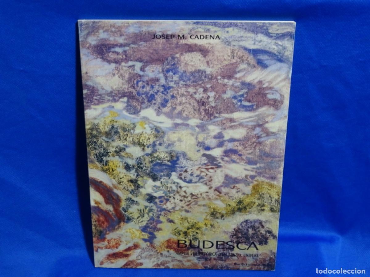 Libri di seconda mano: JOAQUIM BUDESCA. AMPLKA VEU PICT&Oacute;RICA D&rsquo;UN SENZIL UNIVERS. 55PAG. J, M&ordf; CADENA.