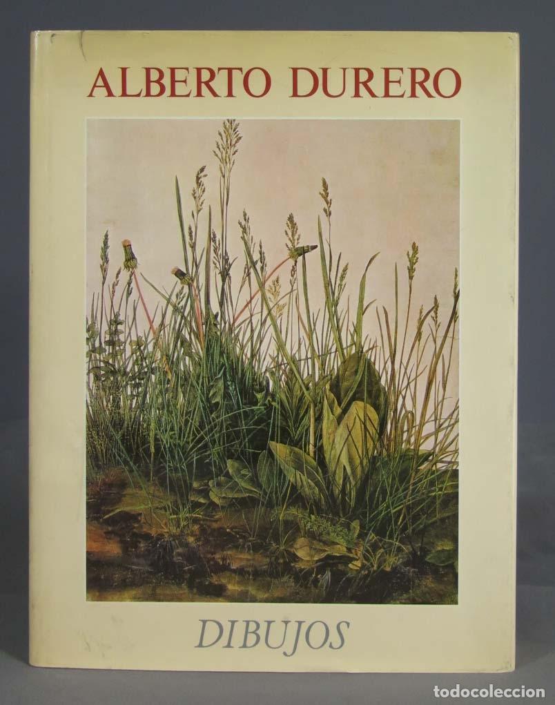 Libros de segunda mano: Alberto Durero. Dibujos. HLAV&Aacute;CEK - Foto 1