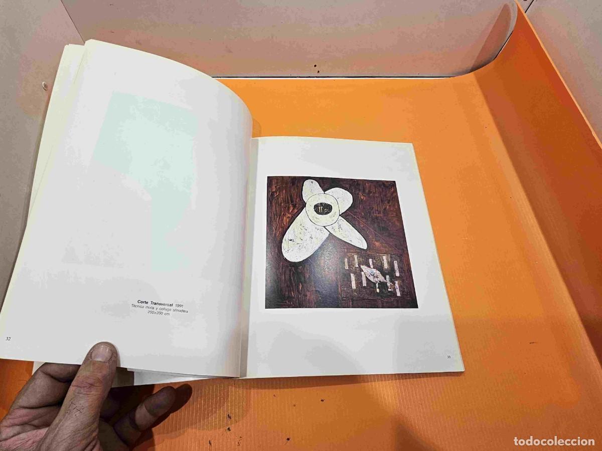 Libros de segunda mano: LIBRO DEL PINTOR HORACIO SAPERE ORBIS FORA-ORBIS INTUS - Foto 3