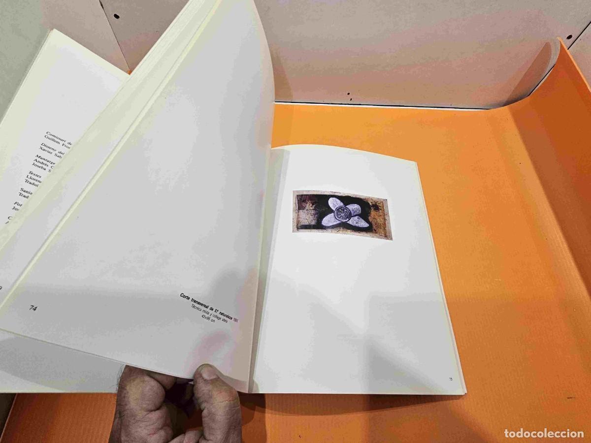 Libros de segunda mano: LIBRO DEL PINTOR HORACIO SAPERE ORBIS FORA-ORBIS INTUS - Foto 8