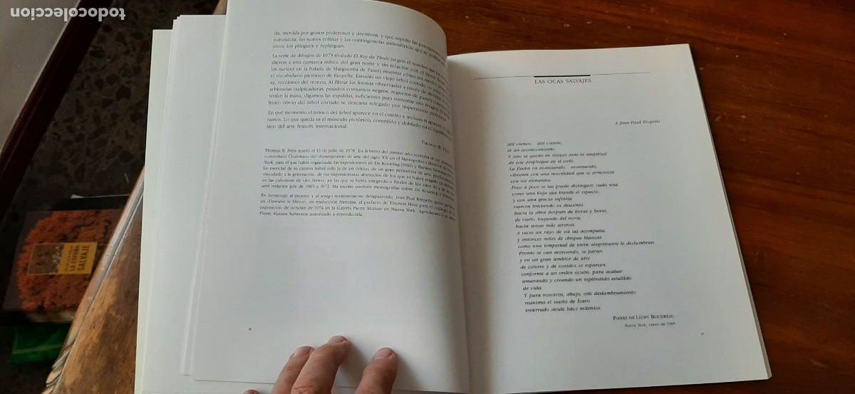 Libros de segunda mano: RIOPELLE. LIBRO 63 PAGINAS. - Foto 10
