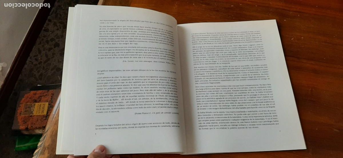 Libros de segunda mano: RIOPELLE. LIBRO 63 PAGINAS. - Foto 11
