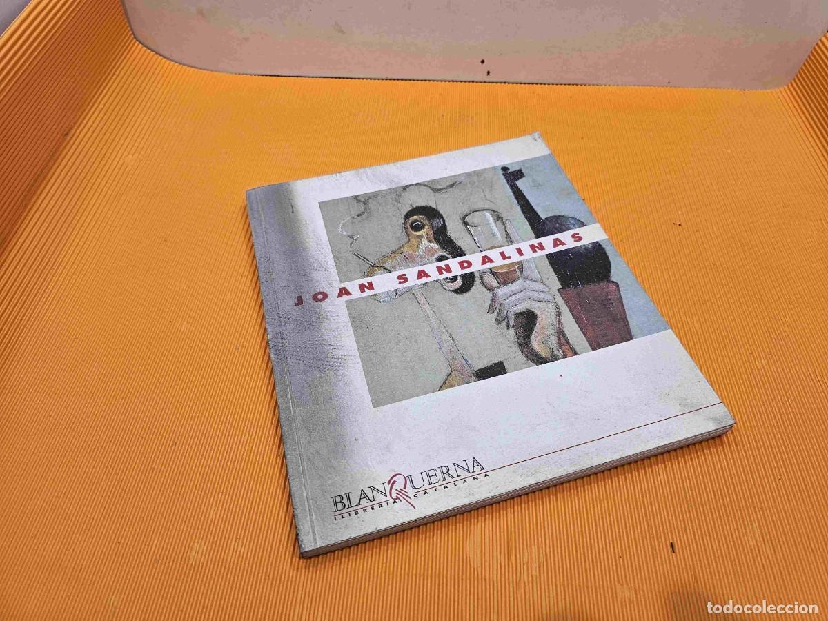 Libros de segunda mano: LIBRO CATALOGO EXPOSICION JOAN SANDALINES - Foto 1
