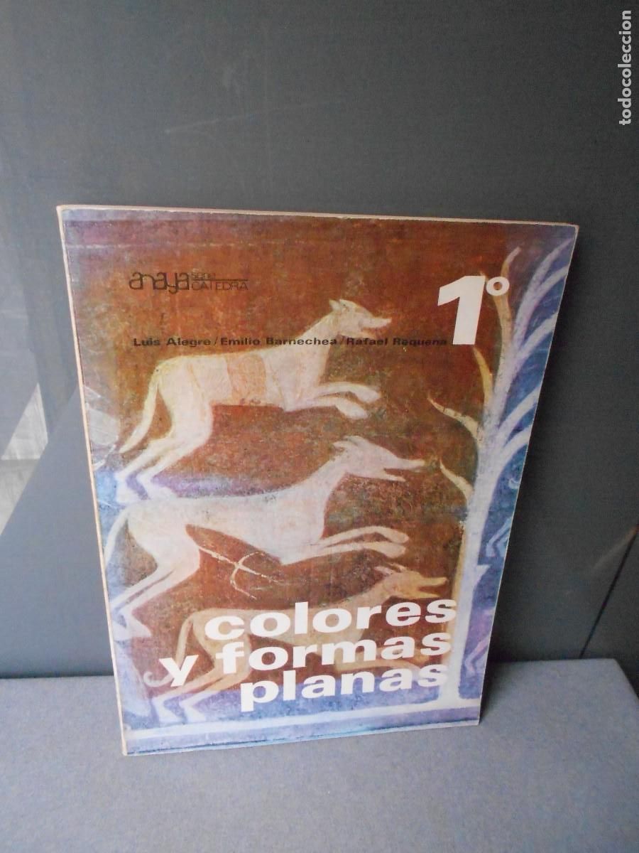 Libros de segunda mano: COLORES Y FORMAS PLANAS - Foto 1