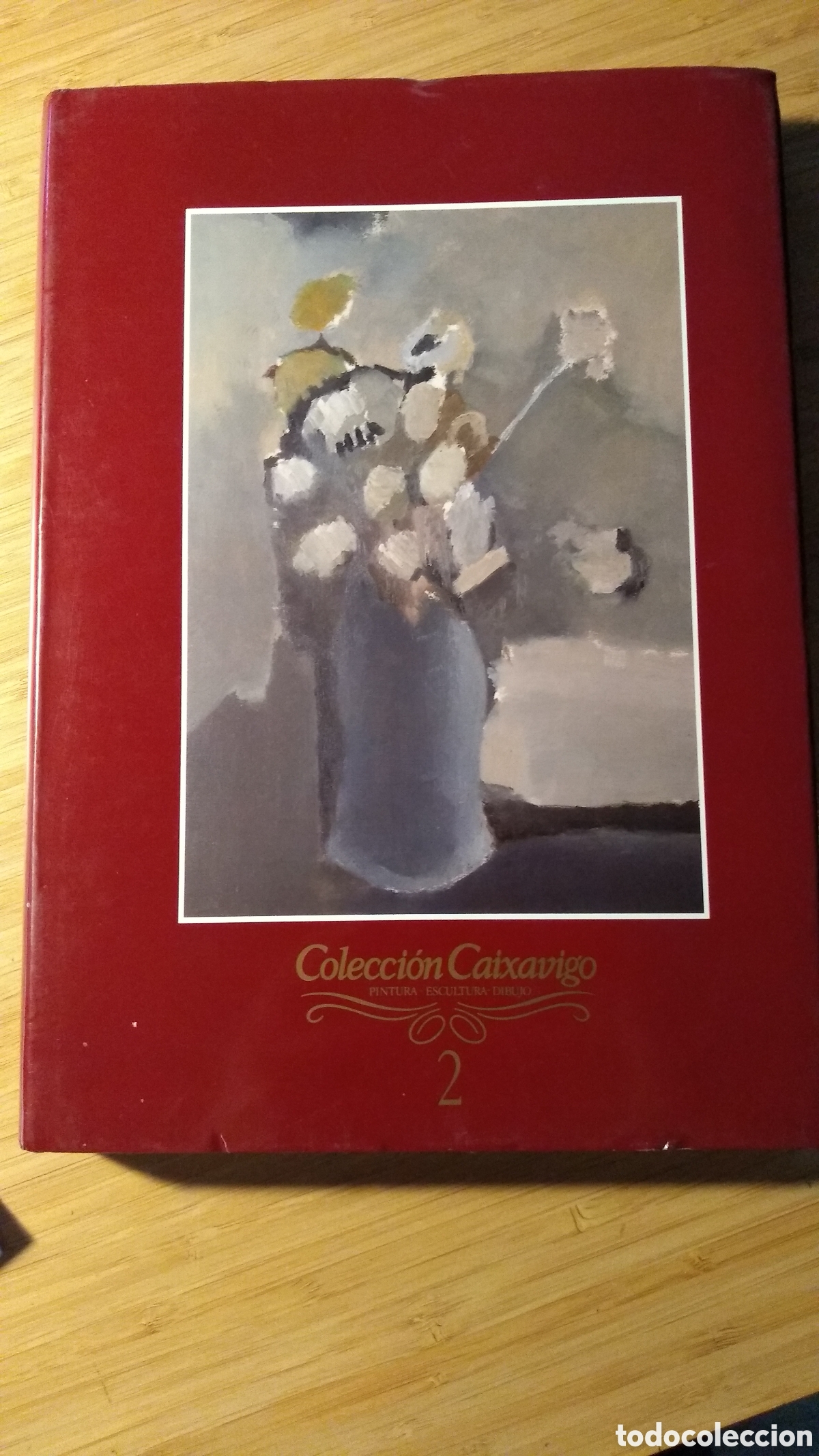Gebrauchte B&uuml;cher: Colecci&oacute;n Caixavigo, pintura-escultura-dibujo, tomo 2 - VVAA